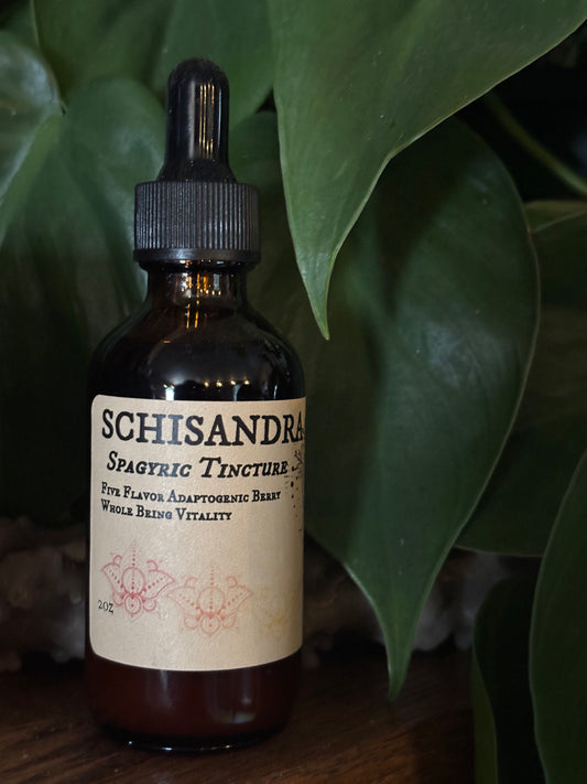 Schisandra Spagyric Tincture