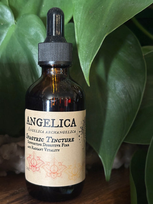 Angelica Spagyric Tincture