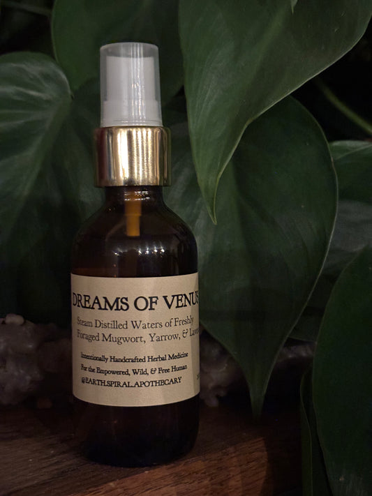 Dreams of Venus