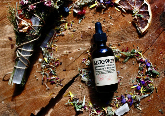 Mugwort Spagyric Extract