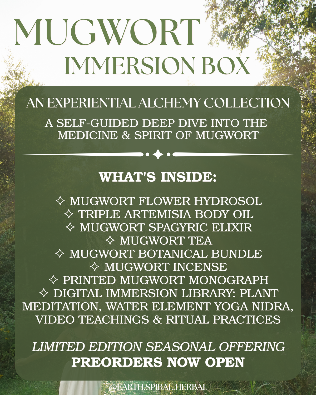 MUGWORT ALCHEMY IMMERSION BOX