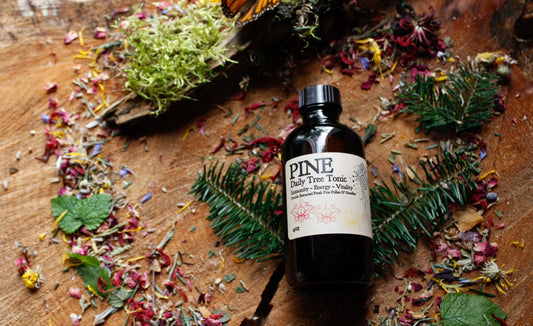 Pine Daily Tree Tonic