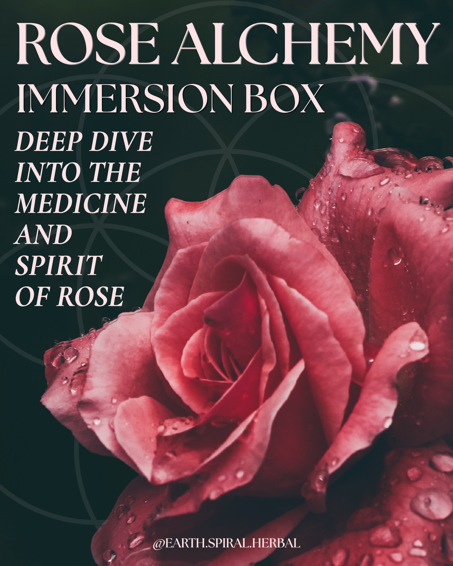 ROSE ALCHEMY IMMERSION BOX