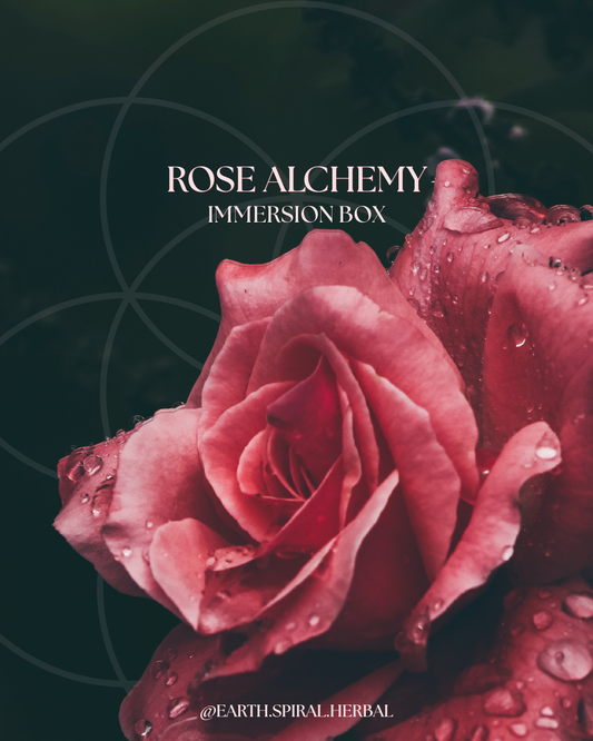 ROSE ALCHEMY IMMERSION BOX