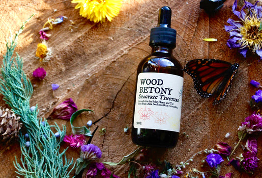 Wood Betony Spagyric Tincture