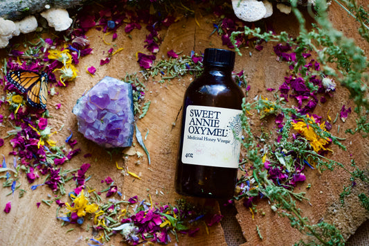 Sweet Annie Oxymel